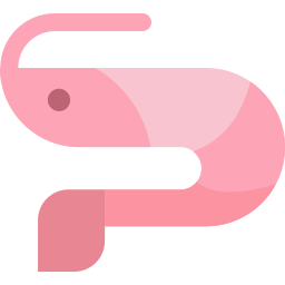 Shrimp icon