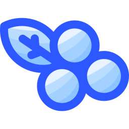 Blueberries icon