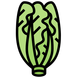 grüner salat icon