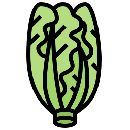 Lettuce icon