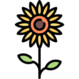 Sunflower icon