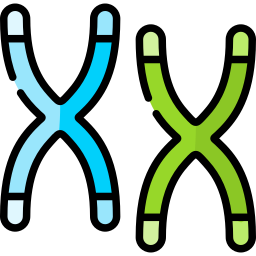 chromosoom icoon