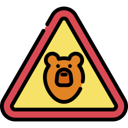 Bear icon