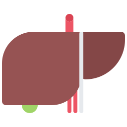 hígado icono