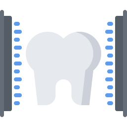 Molar icon