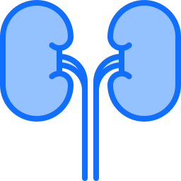 Kidneys icon