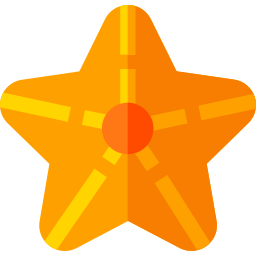 estrella de mar icono