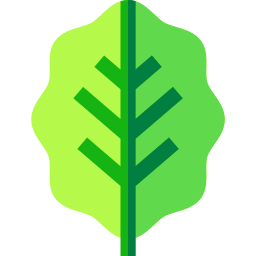 Leaf icon