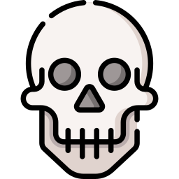 Skull icon