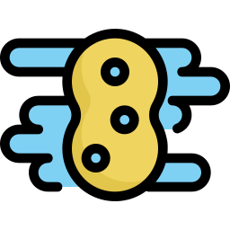 Sponge icon