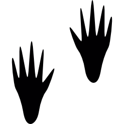 アライグマの足跡 icon