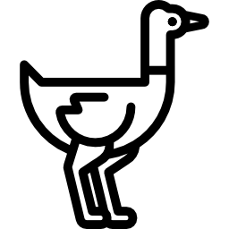 타조 icon