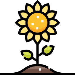 Sunflower icon