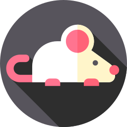 쥐 icon