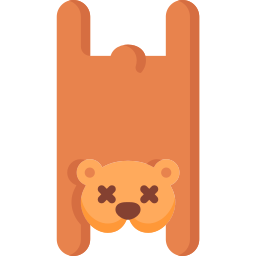 niedźwiedzie ikona