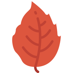 Leaf icon