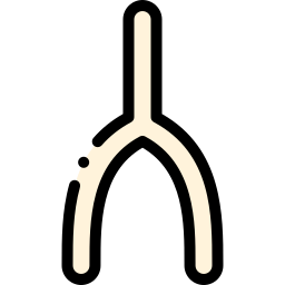 wishbone Icône