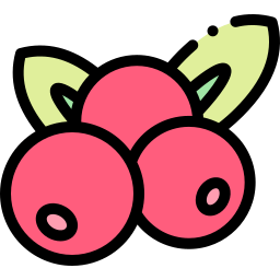 Berries icon