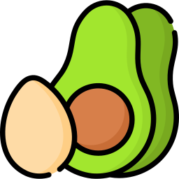 Ketogenic diet icon