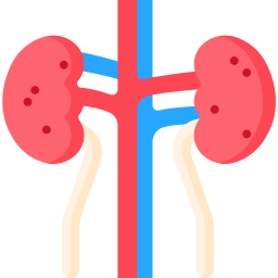 Kidneys icon