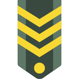 chevron icona