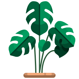 Monstera leaf icon