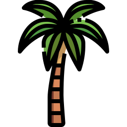 Coconut tree icon