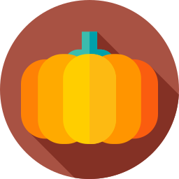 Pumpkin icon