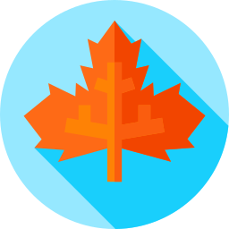 Maple leaf icon