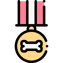 Medal icon