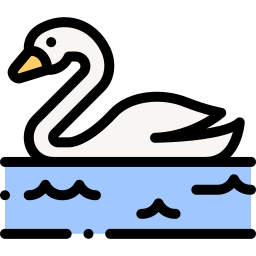 cisne Ícone