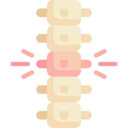 coluna vertebral Ícone