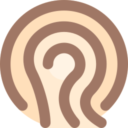 Fingerprint icon