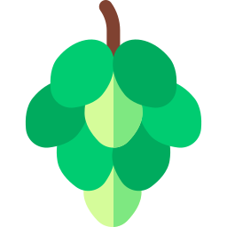 Grapes icon