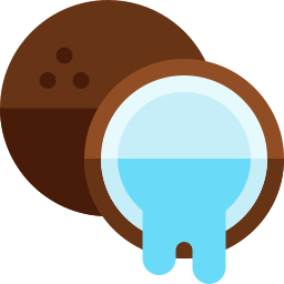 Coconut icon