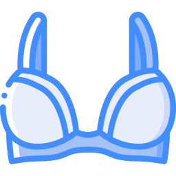 Brassiere icon