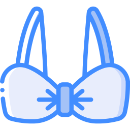 Brassiere icon