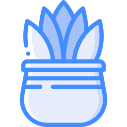 Aloe icon