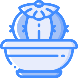 kaktus icon