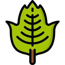 Leaf icon