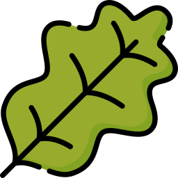 Leaf icon