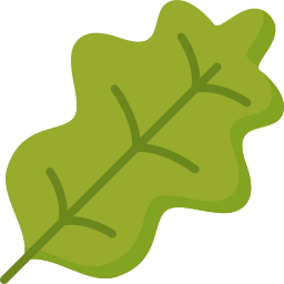 Leaf icon