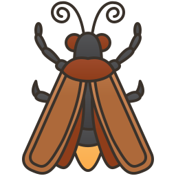 firefly icon
