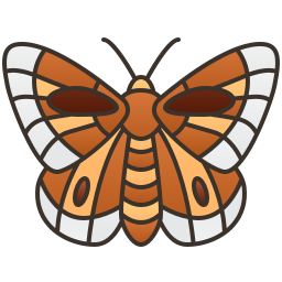 motyl ikona