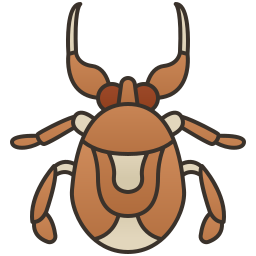 Water bug icon