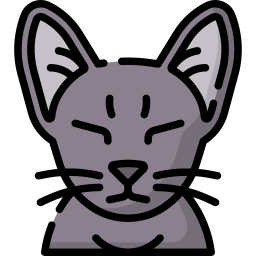 猫 icon