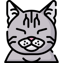 猫 icon