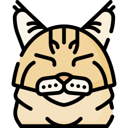 Cat icon