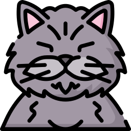 猫 icon