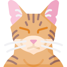 고양이 icon